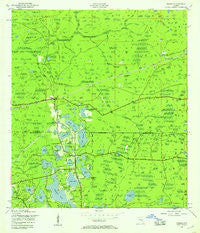 Odessa Florida Historical topographic map, 1:24000 scale, 7.5 X 7.5 Minute, Year 1943