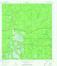 Odessa Florida Historical topographic map, 1:24000 scale, 7.5 X 7.5 Minute, Year 1943