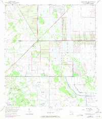 Okeechobee 4 NE Florida Historical topographic map, 1:24000 scale, 7.5 X 7.5 Minute, Year 1953
