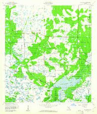 Old Myakka Florida Historical topographic map, 1:24000 scale, 7.5 X 7.5 Minute, Year 1944