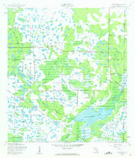 Old Myakka Florida Historical topographic map, 1:24000 scale, 7.5 X 7.5 Minute, Year 1944