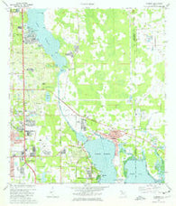 Oldsmar Florida Historical topographic map, 1:24000 scale, 7.5 X 7.5 Minute, Year 1974