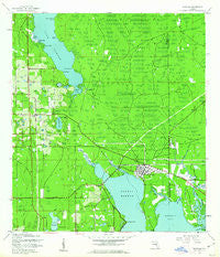 Oldsmar Florida Historical topographic map, 1:24000 scale, 7.5 X 7.5 Minute, Year 1943