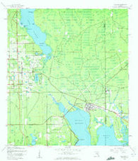 Oldsmar Florida Historical topographic map, 1:24000 scale, 7.5 X 7.5 Minute, Year 1943