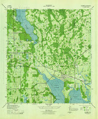 Oldsmar Florida Historical topographic map, 1:31680 scale, 7.5 X 7.5 Minute, Year 1944