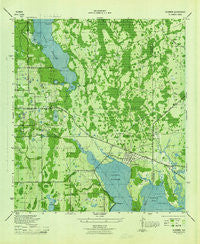 Oldsmar Florida Historical topographic map, 1:31680 scale, 7.5 X 7.5 Minute, Year 1944