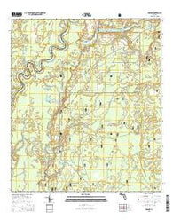 Orange Florida Current topographic map, 1:24000 scale, 7.5 X 7.5 Minute, Year 2015
