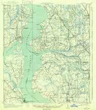 Orange Park Florida Historical topographic map, 1:62500 scale, 15 X 15 Minute, Year 1918
