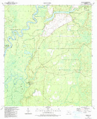 Orange Florida Historical topographic map, 1:24000 scale, 7.5 X 7.5 Minute, Year 1990