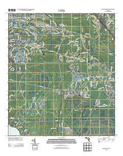 Orangedale Florida Historical topographic map, 1:24000 scale, 7.5 X 7.5 Minute, Year 2012