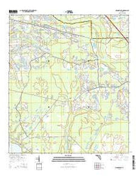 Orangedale Florida Current topographic map, 1:24000 scale, 7.5 X 7.5 Minute, Year 2015