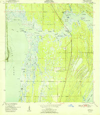 Orsino Florida Historical topographic map, 1:24000 scale, 7.5 X 7.5 Minute, Year 1951