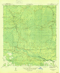 Owens Bridge Florida Historical topographic map, 1:31680 scale, 7.5 X 7.5 Minute, Year 1946
