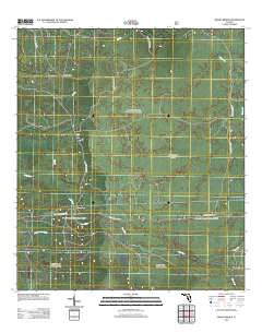Owens Bridge Florida Historical topographic map, 1:24000 scale, 7.5 X 7.5 Minute, Year 2012