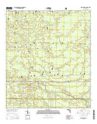 Owens Bridge Florida Current topographic map, 1:24000 scale, 7.5 X 7.5 Minute, Year 2015