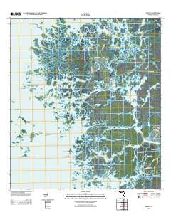 Ozello Florida Historical topographic map, 1:24000 scale, 7.5 X 7.5 Minute, Year 2012
