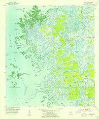 Ozello Florida Historical topographic map, 1:24000 scale, 7.5 X 7.5 Minute, Year 1954