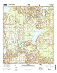 Paisley Florida Current topographic map, 1:24000 scale, 7.5 X 7.5 Minute, Year 2015