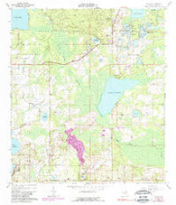 Paisley Florida Historical topographic map, 1:24000 scale, 7.5 X 7.5 Minute, Year 1965