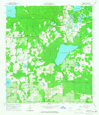 Paisley Florida Historical topographic map, 1:24000 scale, 7.5 X 7.5 Minute, Year 1965