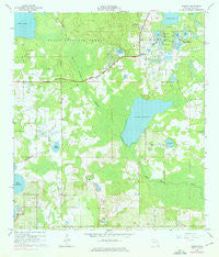 Paisley Florida Historical topographic map, 1:24000 scale, 7.5 X 7.5 Minute, Year 1965