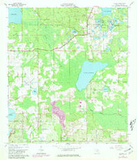 Paisley Florida Historical topographic map, 1:24000 scale, 7.5 X 7.5 Minute, Year 1965
