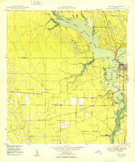 Palm City Florida Historical topographic map, 1:24000 scale, 7.5 X 7.5 Minute, Year 1950