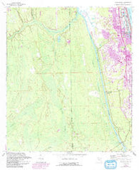 Palm Valley Florida Historical topographic map, 1:24000 scale, 7.5 X 7.5 Minute, Year 1964