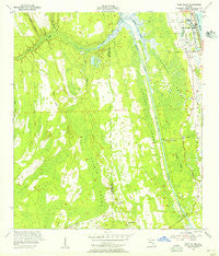 Palm Valley Florida Historical topographic map, 1:24000 scale, 7.5 X 7.5 Minute, Year 1952