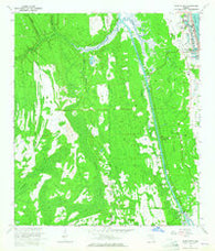 Palm Valley Florida Historical topographic map, 1:24000 scale, 7.5 X 7.5 Minute, Year 1964