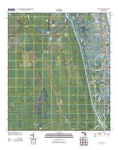 Palm Valley Florida Historical topographic map, 1:24000 scale, 7.5 X 7.5 Minute, Year 2012
