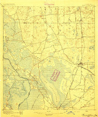 Panasoffkee Florida Historical topographic map, 1:62500 scale, 15 X 15 Minute, Year 1895