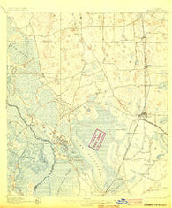 Panasoffkee Florida Historical topographic map, 1:62500 scale, 15 X 15 Minute, Year 1895