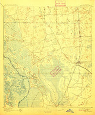Panasoffkee Florida Historical topographic map, 1:62500 scale, 15 X 15 Minute, Year 1895