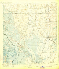 Panasoffkee Florida Historical topographic map, 1:62500 scale, 15 X 15 Minute, Year 1895