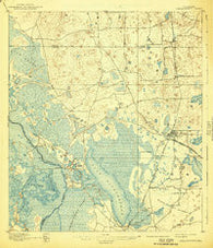 Panasoffkee Florida Historical topographic map, 1:62500 scale, 15 X 15 Minute, Year 1895