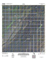 Panther Mound Florida Historical topographic map, 1:24000 scale, 7.5 X 7.5 Minute, Year 2012