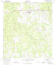 Penney Farms Florida Historical topographic map, 1:24000 scale, 7.5 X 7.5 Minute, Year 1949
