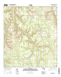 Penney Farms Florida Current topographic map, 1:24000 scale, 7.5 X 7.5 Minute, Year 2015