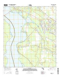 Picolata Florida Current topographic map, 1:24000 scale, 7.5 X 7.5 Minute, Year 2015