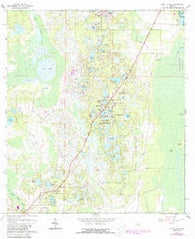 Pine Lakes Florida Historical topographic map, 1:24000 scale, 7.5 X 7.5 Minute, Year 1962