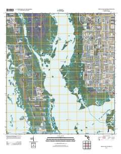 Pine Island Center Florida Historical topographic map, 1:24000 scale, 7.5 X 7.5 Minute, Year 2012