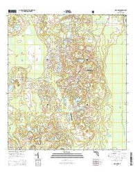 Pine Lakes Florida Current topographic map, 1:24000 scale, 7.5 X 7.5 Minute, Year 2015