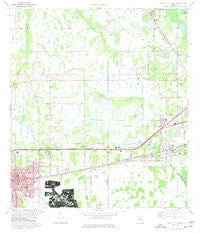 Plant City East Florida Historical topographic map, 1:24000 scale, 7.5 X 7.5 Minute, Year 1975