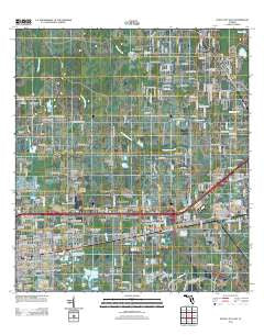 Plant City East Florida Historical topographic map, 1:24000 scale, 7.5 X 7.5 Minute, Year 2012