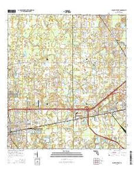 Plant City East Florida Current topographic map, 1:24000 scale, 7.5 X 7.5 Minute, Year 2015