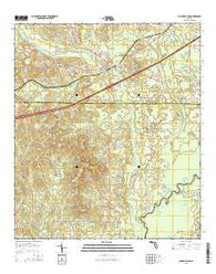 Ponce de Leon Florida Current topographic map, 1:24000 scale, 7.5 X 7.5 Minute, Year 2015