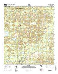 Poplar Head Florida Current topographic map, 1:24000 scale, 7.5 X 7.5 Minute, Year 2015
