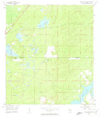 Port Richey NE Florida Historical topographic map, 1:24000 scale, 7.5 X 7.5 Minute, Year 1954