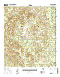 Prosperity Florida Current topographic map, 1:24000 scale, 7.5 X 7.5 Minute, Year 2015